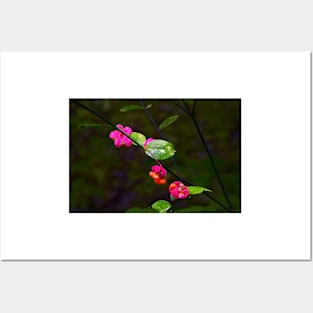 Magenta Flowers, Green Leaves Posters and Art